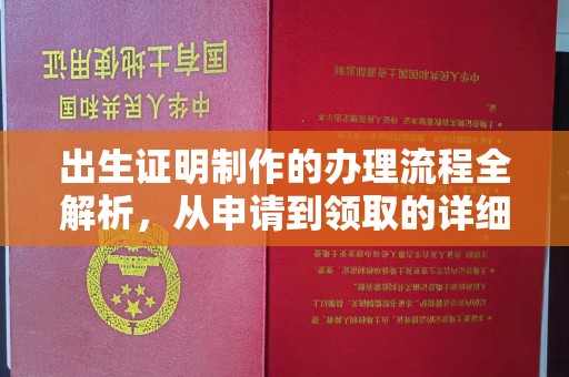 嫩江出生证明制作的办理流程全解析，从申请到领取的详细指南